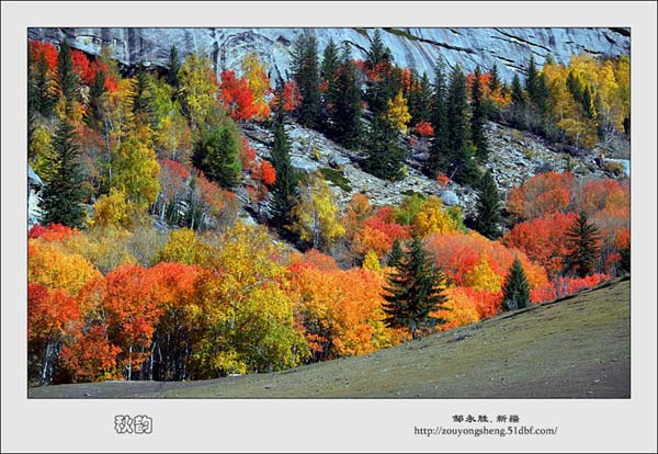 Photo selections of Zou Yongsheng