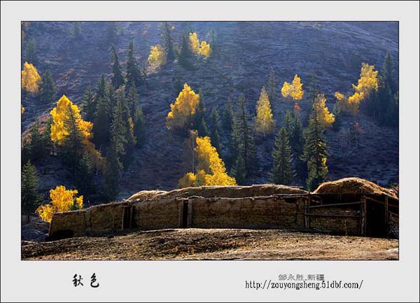Photo selections of Zou Yongsheng