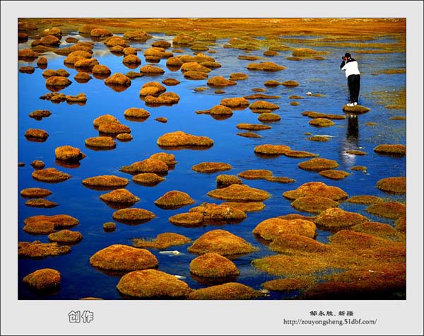 Photo selections of Zou Yongsheng