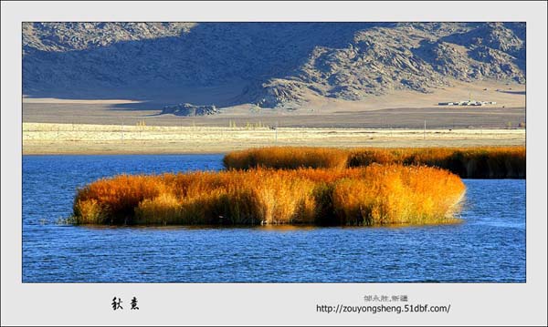 Photo selections of Zou Yongsheng