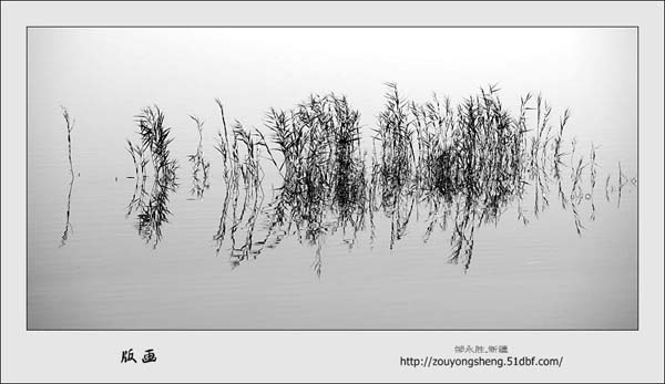 Photo selections of Zou Yongsheng
