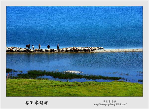 Photo selections of Zou Yongsheng