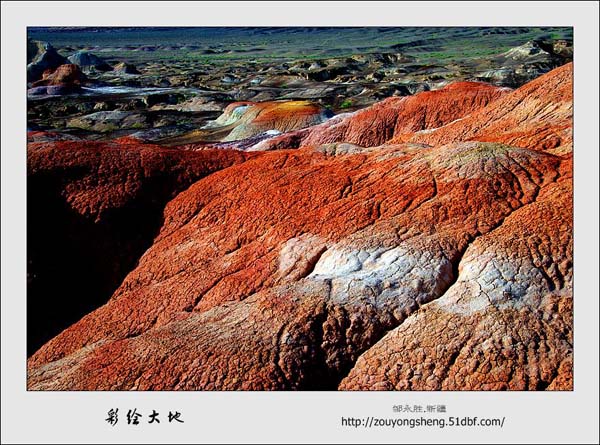 Photo selections of Zou Yongsheng