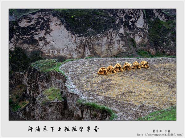 Photo selections of Zou Yongsheng