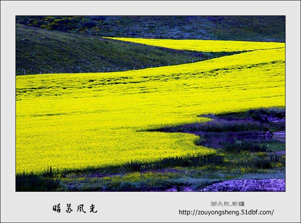 Photo selections of Zou Yongsheng