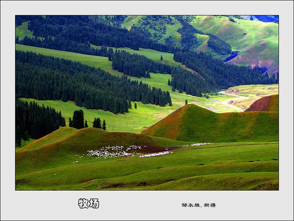Photo selections of Zou Yongsheng