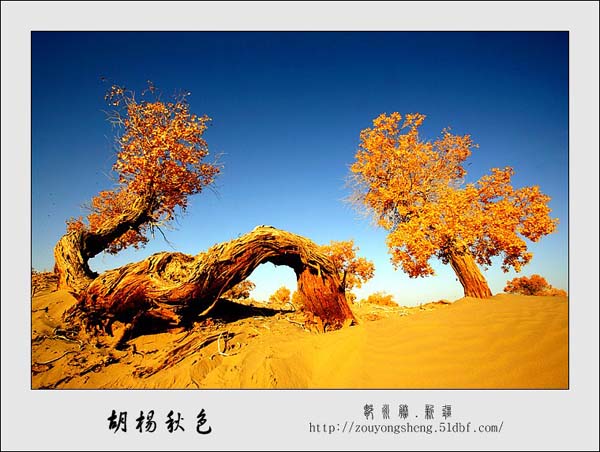 Photo selections of Zou Yongsheng