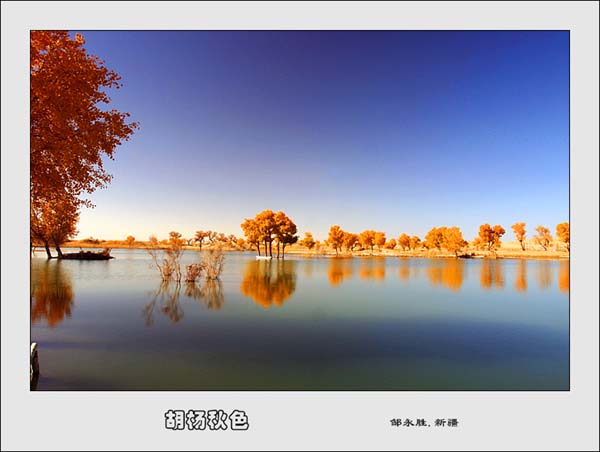 Photo selections of Zou Yongsheng