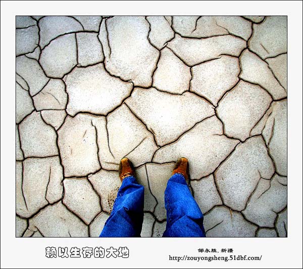 Photo selections of Zou Yongsheng
