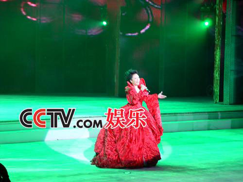 Last rehearsal for Spring Festival gala
