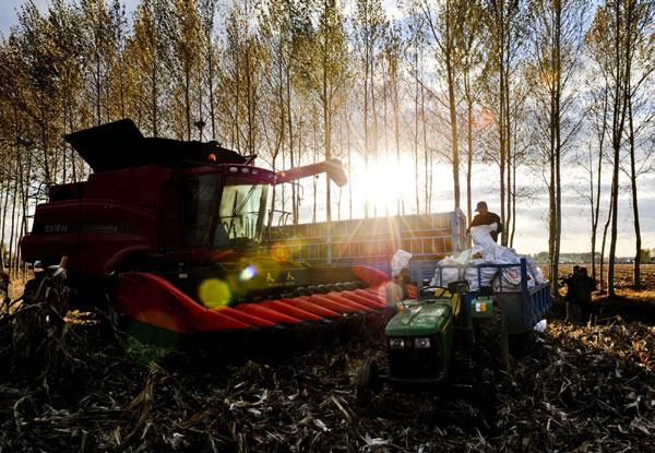 China's rural achievements in the past decade