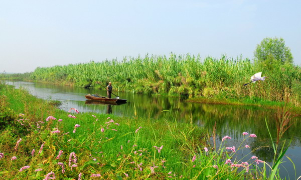 Weishanhu wetlands