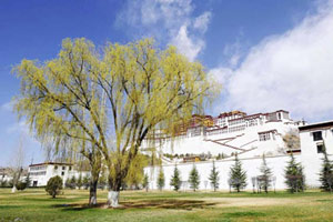 Top political advisor stresses 'rule of law' in Tibet