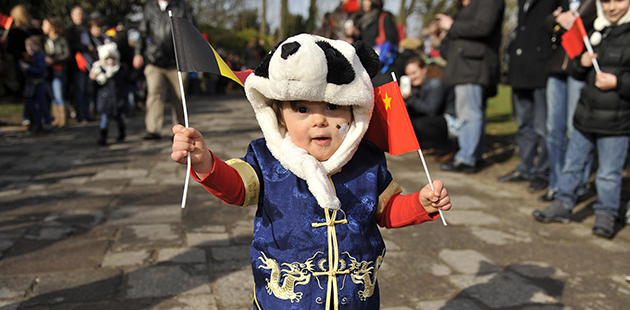 Pandas arrive in Brussels