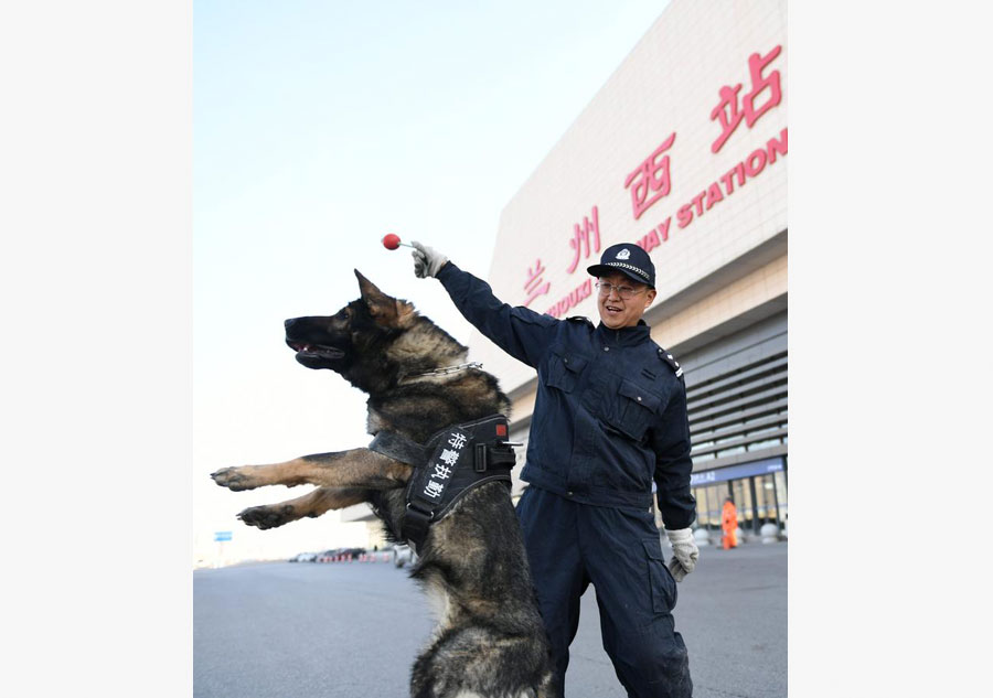 Police dogs on duty during China's Spring Festival travel rush