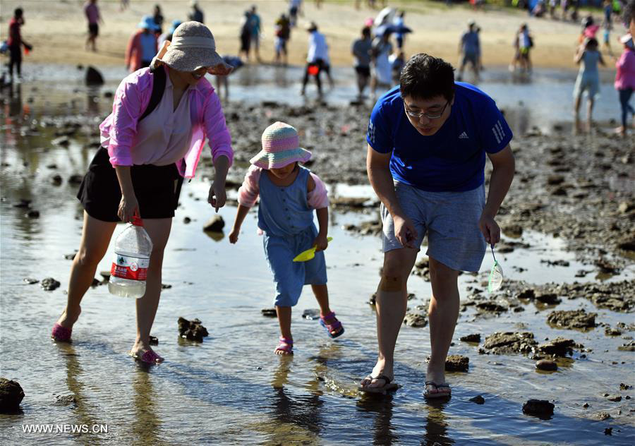 Marine products collecting festival kicks off in S China's Hainan