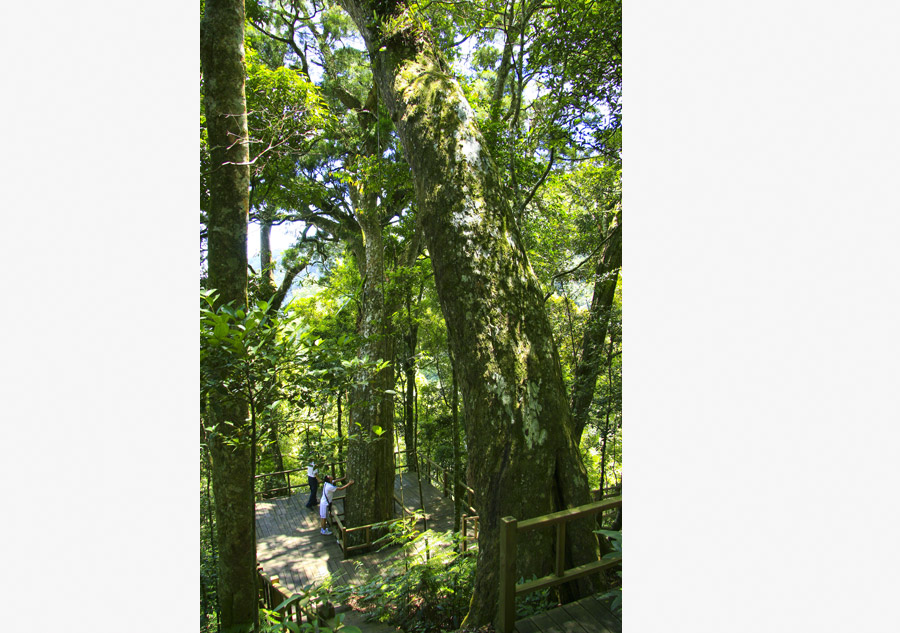 Bawangling National Nature Reserve in Hainan