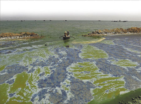 Sucking out the poison in lakes