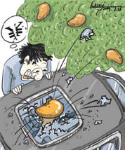 Mango costs man parked under tree 1,000 yuan