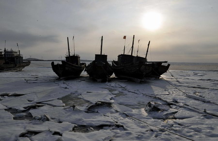 East China fishery hit by worst sea ice in 40 yrs