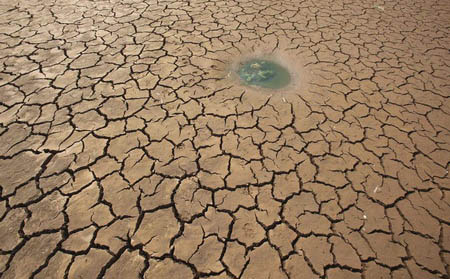 Drought causing food prices to increase