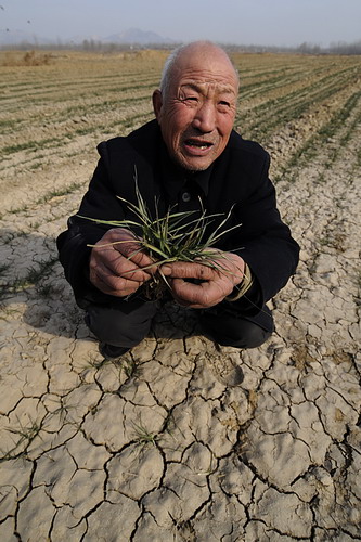Extreme weather hit China hard