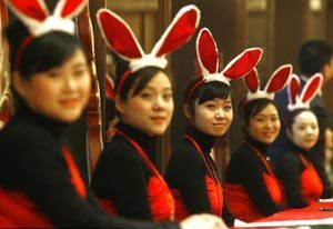 Special: All about the Year of the Rabbit