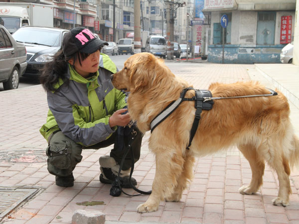 Dog trainer's vision leads the way