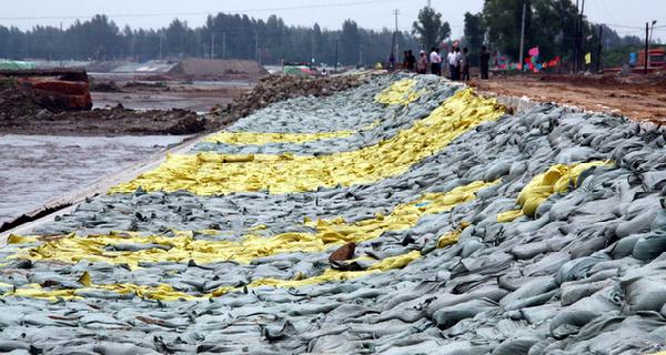 Breached dike repaired in North China