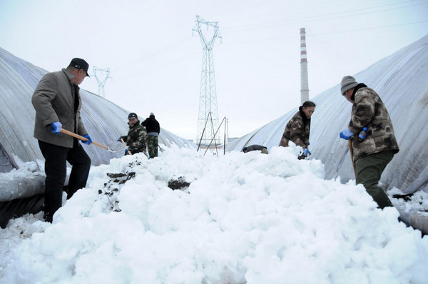 Worst snow in 50 years damages 400 greenhouses