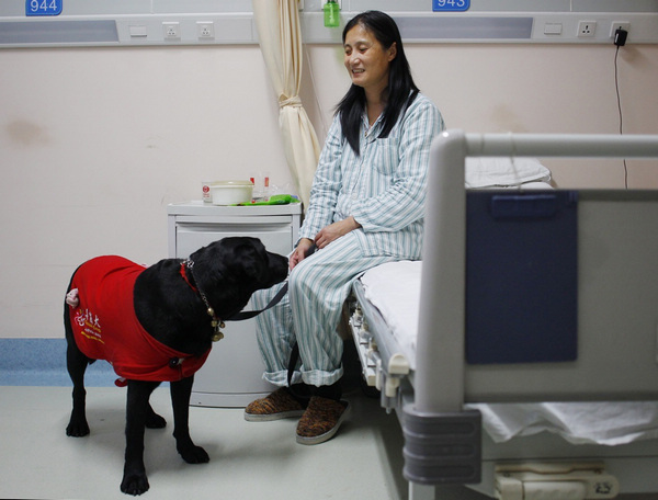 Loyal guide dog sticks by blind owner's bedside