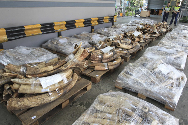 Measures curb illegal ivory trade in China