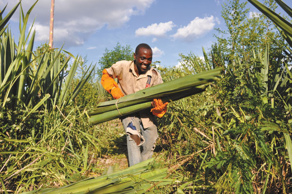 Sowing the seeds of success in Tanzania