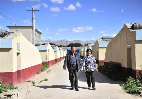 Farming expert devotes 13 years in Tibet