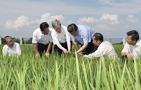 Xi urges rural development