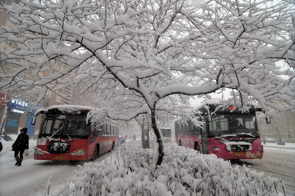 Heavy snow to hit NE China