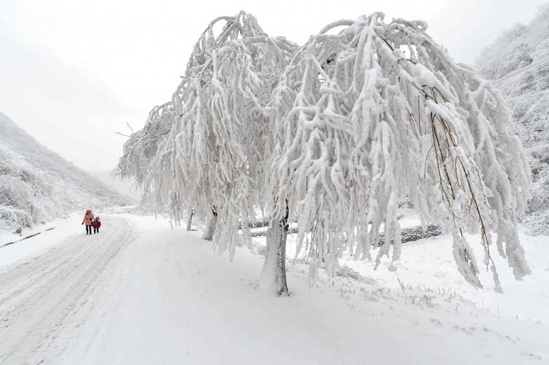 China's white winter