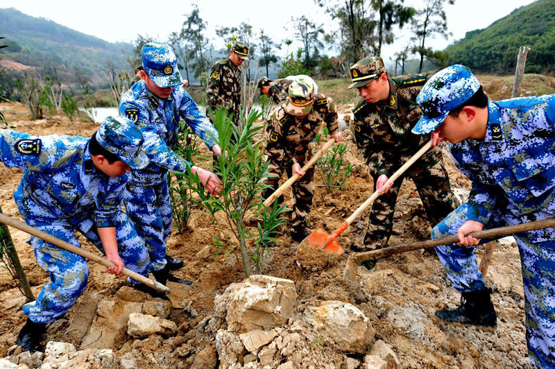 Tree planting boosts China's green drive