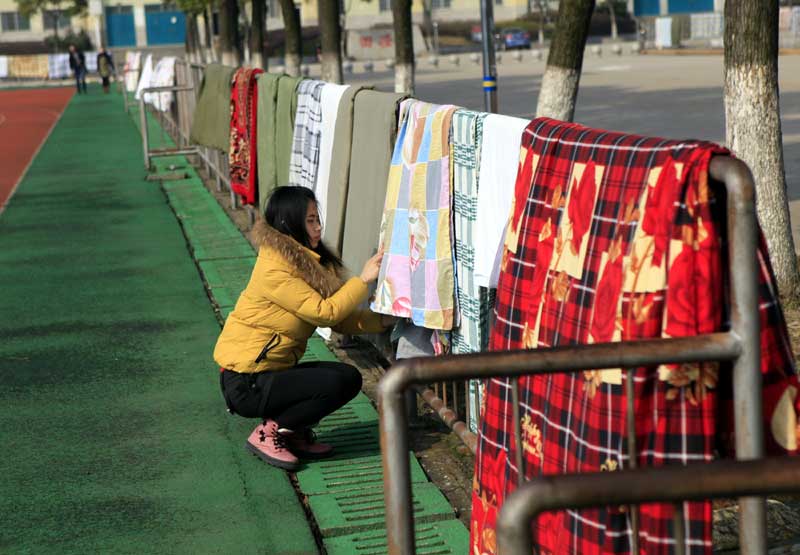 'Quilts collection' on a sunny day