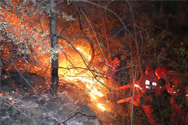 SW China forest fire extinguished