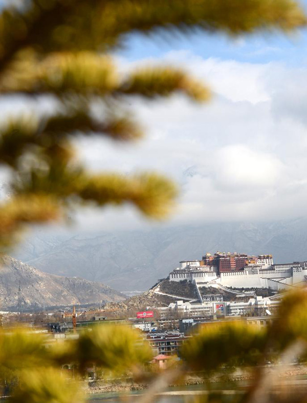 Lhasa to invest 1,000m yuan to plant trees