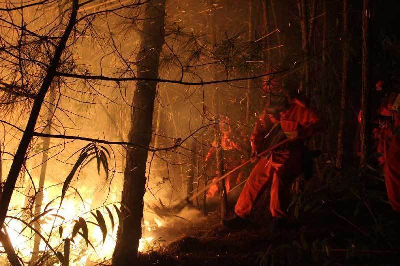 SW China forest fire burns for third day