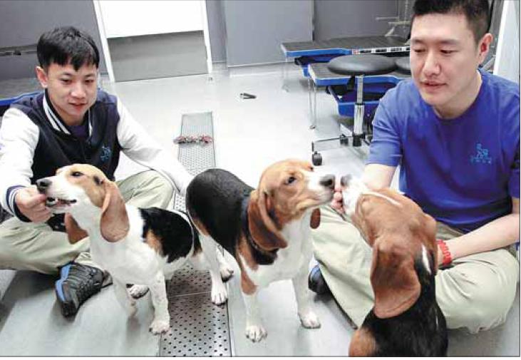Tightening leash on testing on animals