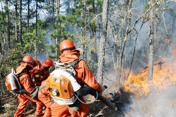 Shangri-La forest fires contained