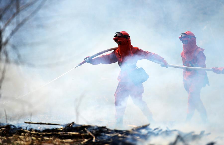 Forest team tackles fire drill in NE China