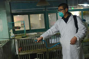 China's human H5N6 infection an individual case