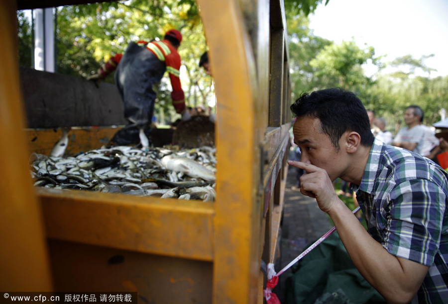 10 tons of fish buried alive at landfill in S China