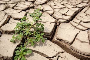 Severe droughts cause drinking water shortages