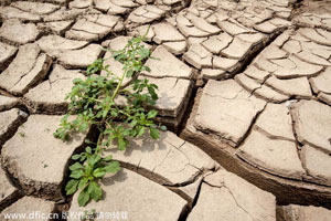 Lingering drought hits Hubei