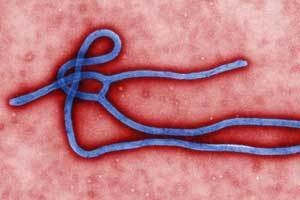 Experts discredit Ebola rumor in Shanghai